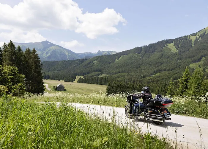 Апартаменты Sloho Bergurlaub